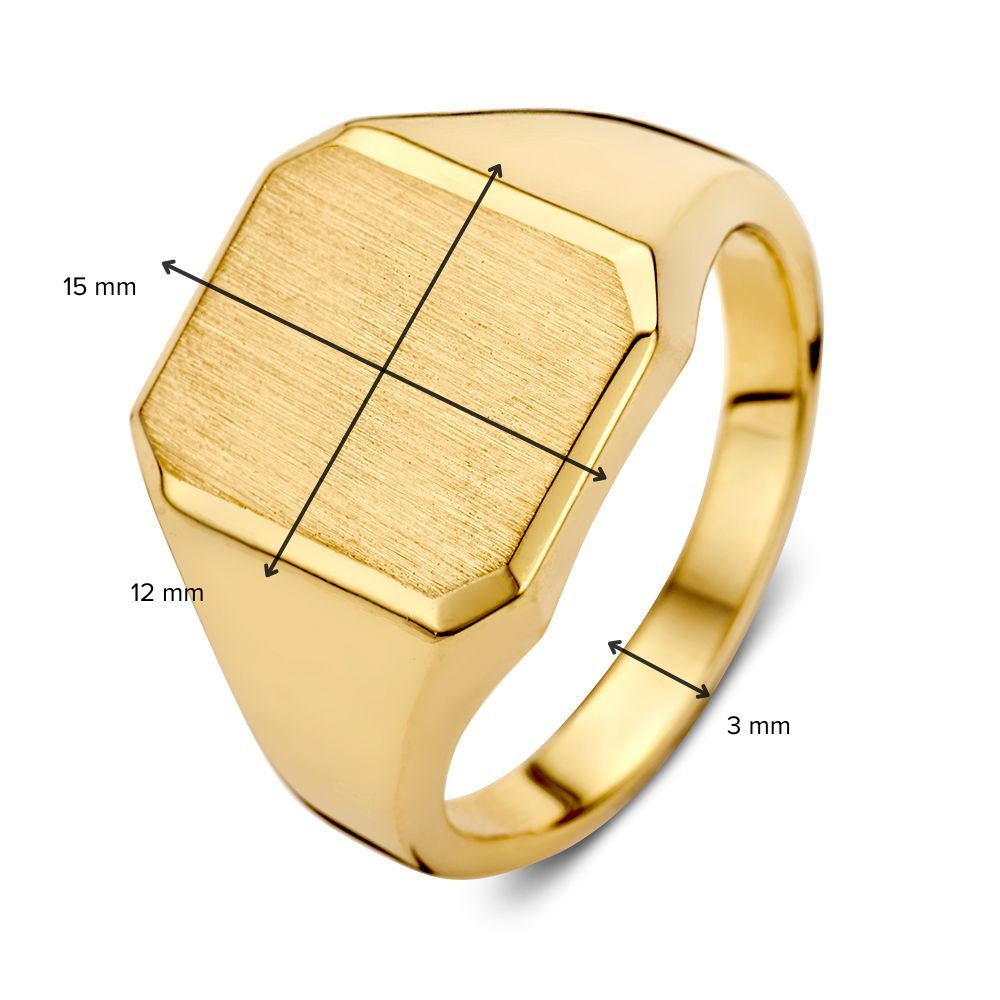Bague Chevalière en Or Jaune 14 Carats pour Homme – Design Luxe et Intemporel