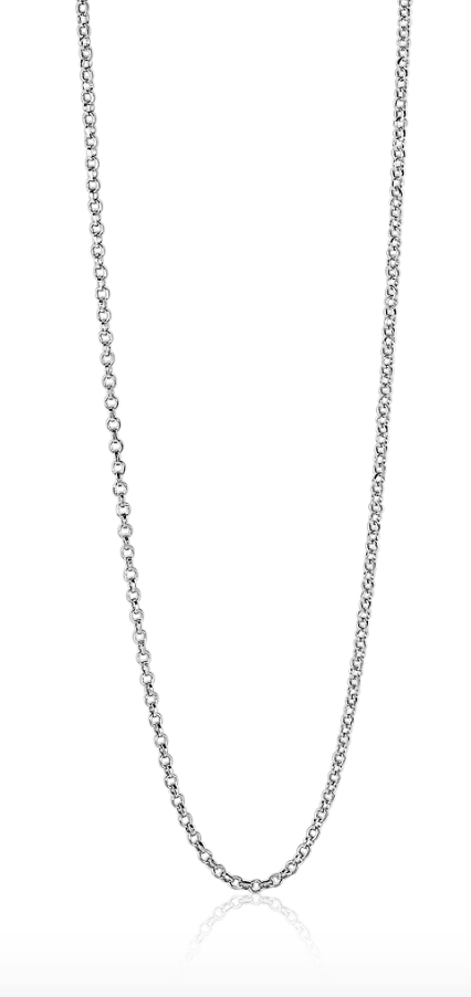 Chaîne en argent avec maillons délicats, finition brillante et design simple.