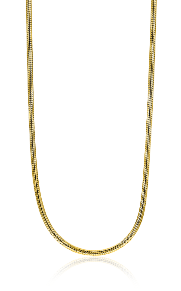 collier doré en acier inoxydable avec un design lisse et brillant.